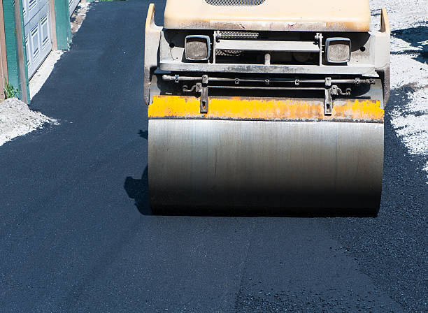 Best Driveway Snow Removal Preparation  in Dianapolis, IN